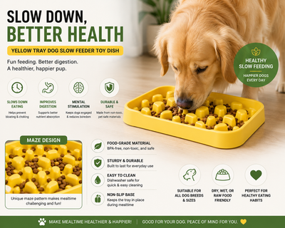 Dog Slow Feeder Toy Dish