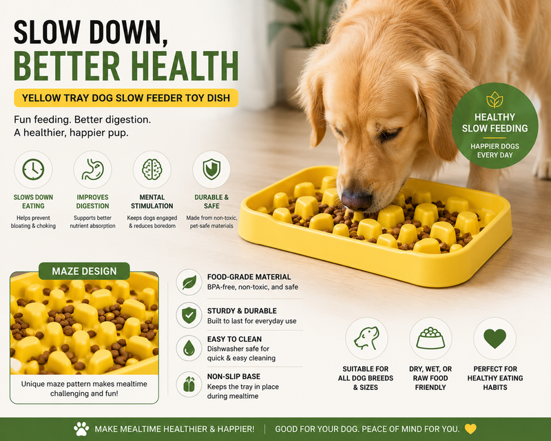 Dog Slow Feeder Toy Dish