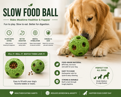 Dog Slow Feeder Toy Dish