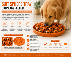 Dog Slow Feeder Toy Dish
