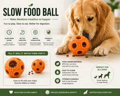 Dog Slow Feeder Toy Dish