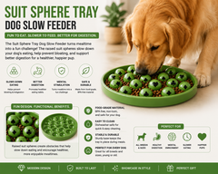 Dog Slow Feeder Toy Dish